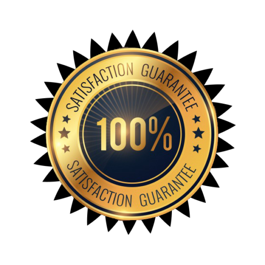 100_satisfaction