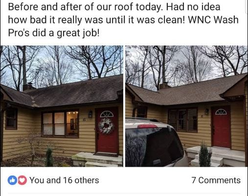 Roof Cleaning