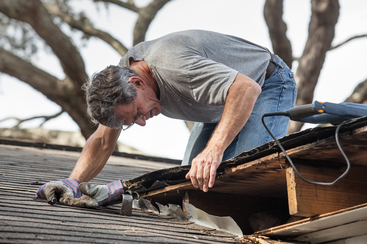 Why Having Residential Roof Mold Removed is So Important