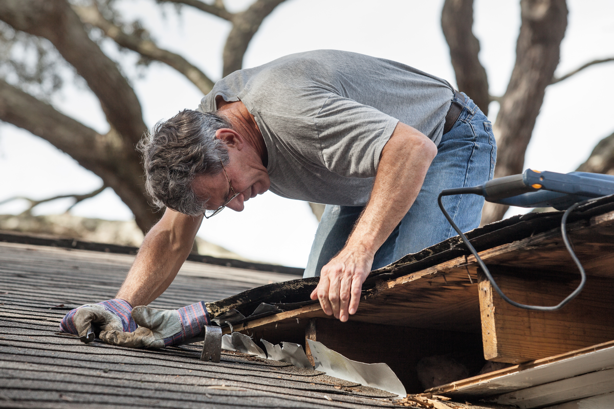 Residential Roof Mold, Asheville, NC