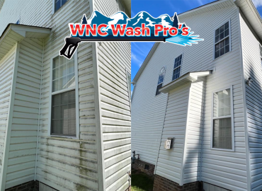 Which one is better Soft Washing vs. Pressure Washing: When to use either
