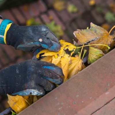 Getting Your Gutters Cleaned Regularly