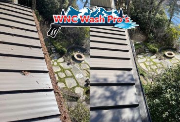 Gutter Cleaning In Horse Shoe, NC