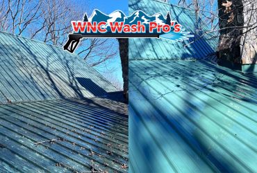 Roof Cleaning In Greenville, SC