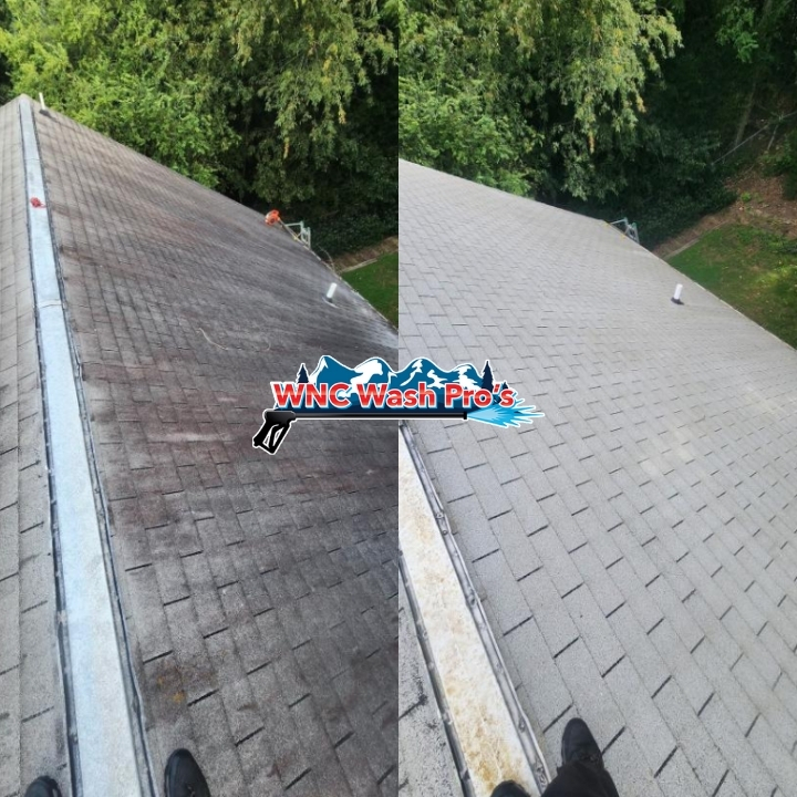 Roof Cleaning, SC