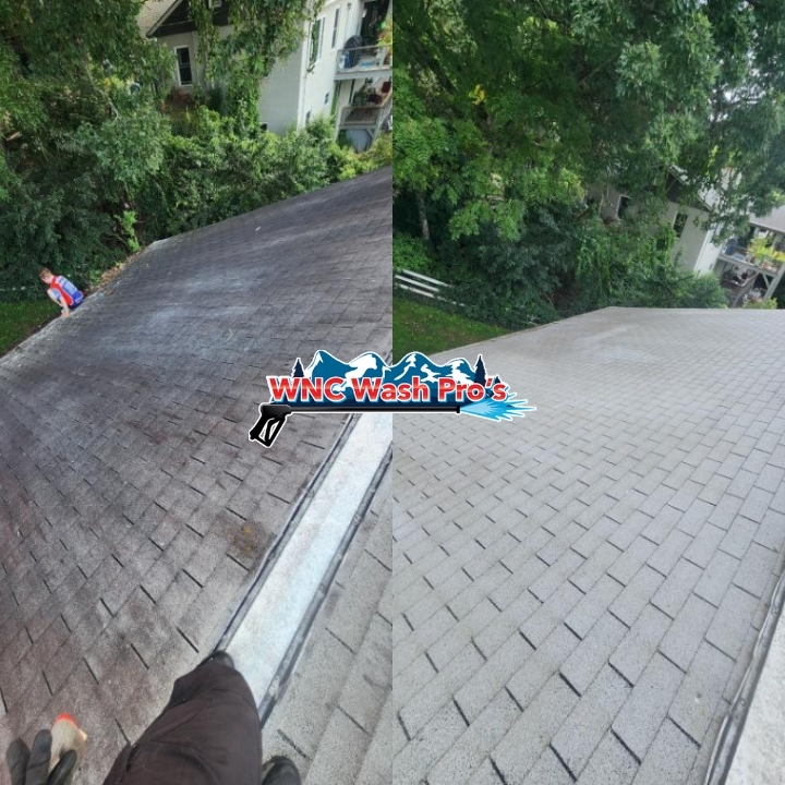Roof Cleaning, SC