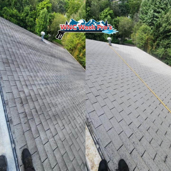 Roof Cleaning, SC
