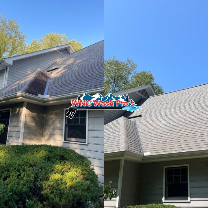 Roof Cleaning, SC